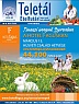 A kiadvány megtekintése